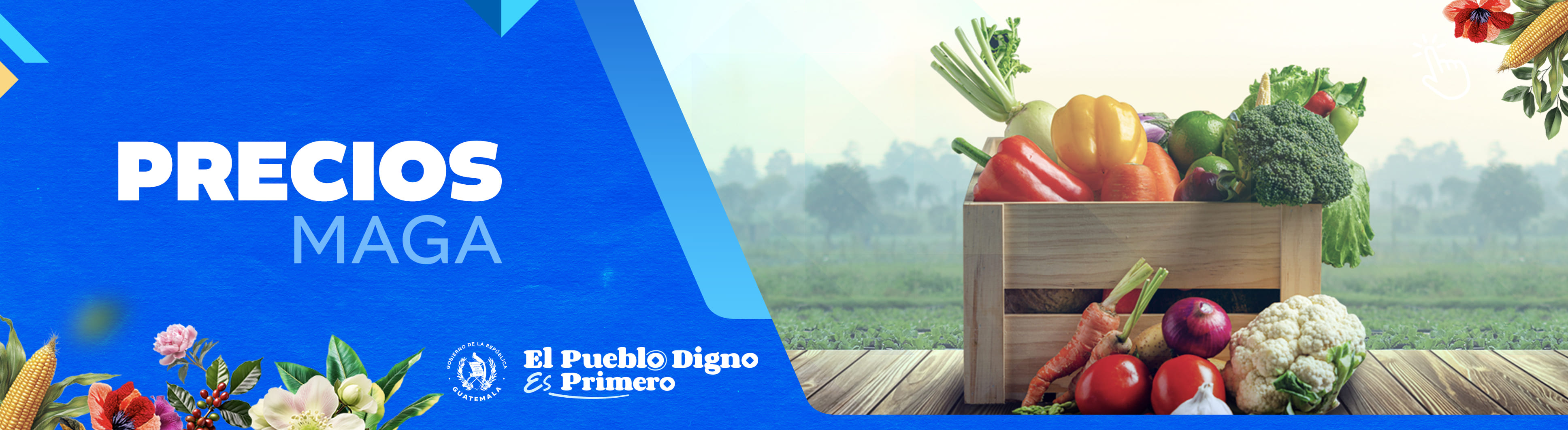 Banner precios